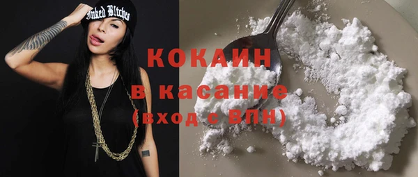 эйфоретик Гусь-Хрустальный