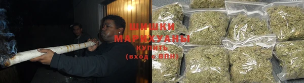 эйфоретик Гусь-Хрустальный