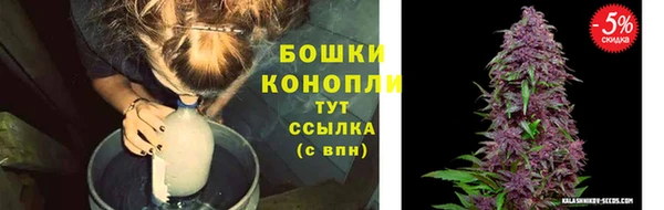 трава Гусев