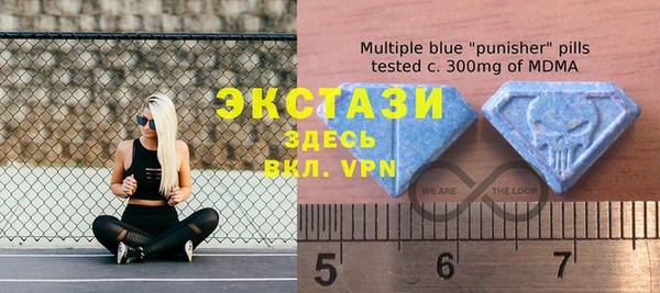эйфоретик Гусь-Хрустальный