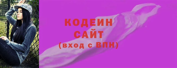 эйфоретик Гусь-Хрустальный