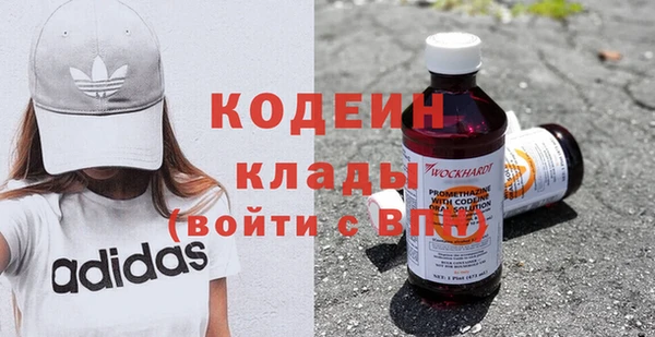 эйфоретик Гусь-Хрустальный