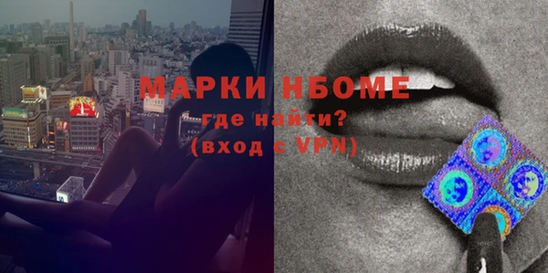 шишки Горно-Алтайск