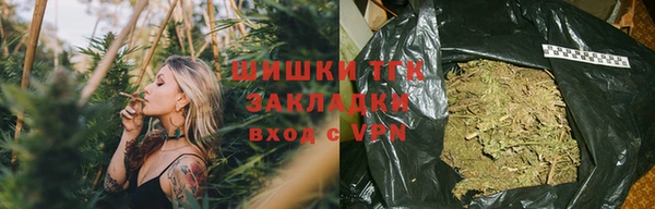 эйфоретик Гусь-Хрустальный