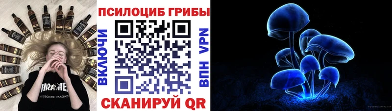 Псилоцибиновые грибы Magic Shrooms  где купить   Дятьково 